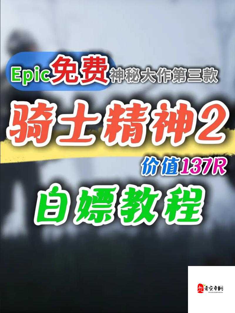 骑士精神2中的货币到底有什么用？详细解析货币在游戏中的作用和用途