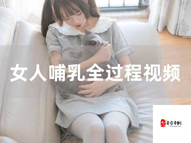 哺乳战士免费观看：禁忌诱惑下的暗夜挑逗