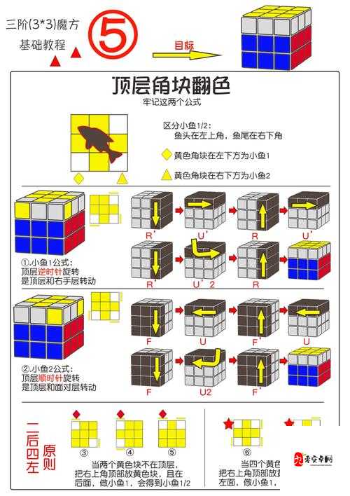 魔方世界按键操作设置太卡？5个神级技巧让你秒变高手！